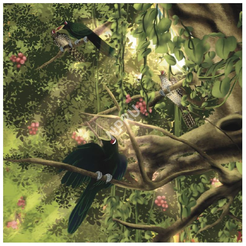 ลวดลายบนวัสดุแผ่นผืน