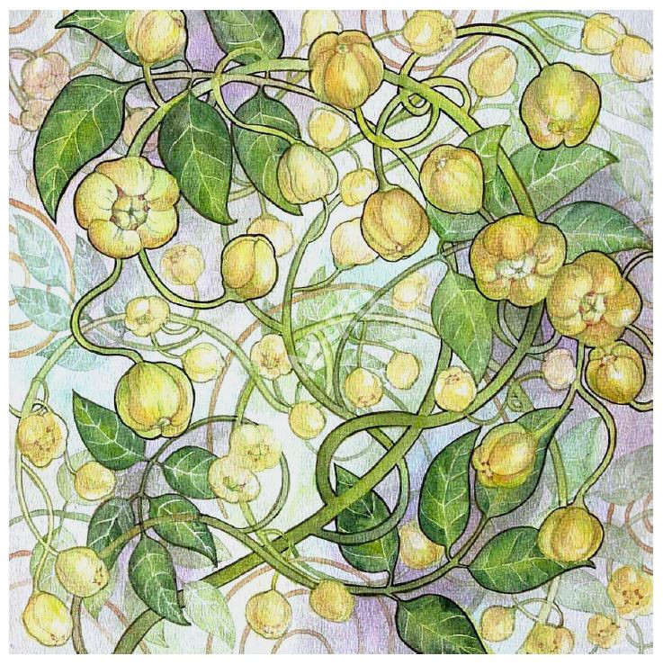 ลวดลายบนวัสดุแผ่นผืน